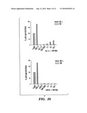 METHOD AND COMPOSITION FOR TREATING IMMUNE COMPLEX ASSOCIATED DISORDERS diagram and image