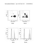 DIAGNOSTICS AND THERAPEUTICS BASED ON CIRCULATING PROGENITOR CELLS diagram and image