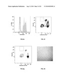 DIAGNOSTICS AND THERAPEUTICS BASED ON CIRCULATING PROGENITOR CELLS diagram and image