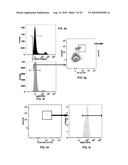 DIAGNOSTICS AND THERAPEUTICS BASED ON CIRCULATING PROGENITOR CELLS diagram and image