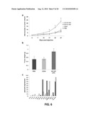 DIAGNOSTICS AND THERAPEUTICS BASED ON CIRCULATING PROGENITOR CELLS diagram and image