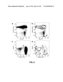 DIAGNOSTICS AND THERAPEUTICS BASED ON CIRCULATING PROGENITOR CELLS diagram and image