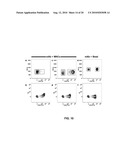 DIAGNOSTICS AND THERAPEUTICS BASED ON CIRCULATING PROGENITOR CELLS diagram and image