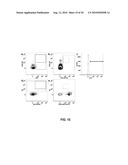 DIAGNOSTICS AND THERAPEUTICS BASED ON CIRCULATING PROGENITOR CELLS diagram and image