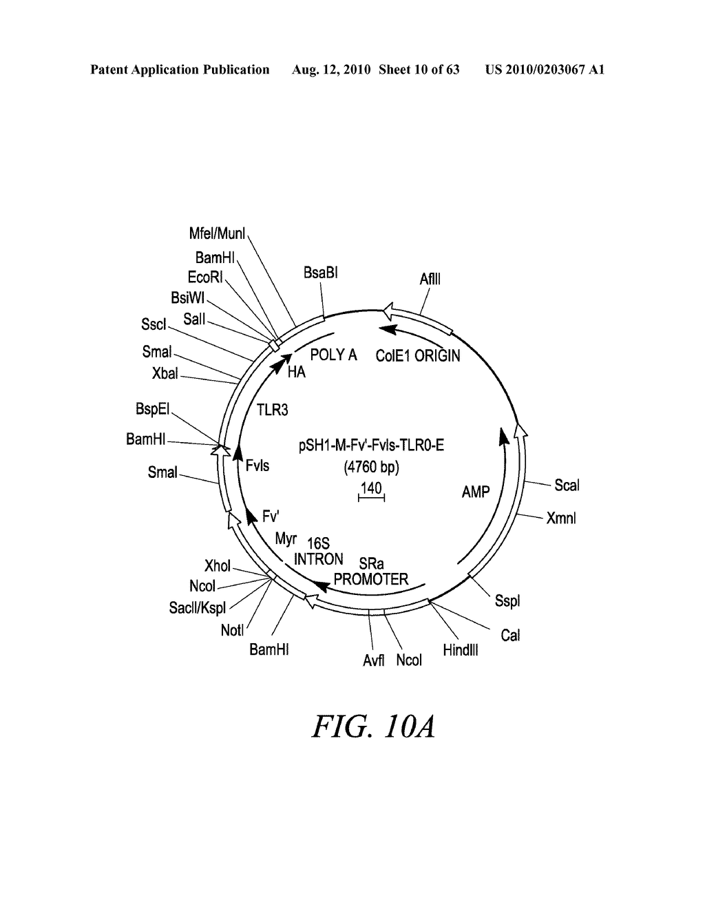 METHODS AND COMPOSITIONS FOR GENERATING AN IMMUNE RESPONSE BY INDUCING CD40 AND PATTERN RECOGNITION RECEPTOR ADAPTERS - diagram, schematic, and image 11