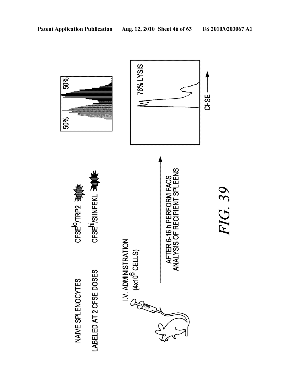 METHODS AND COMPOSITIONS FOR GENERATING AN IMMUNE RESPONSE BY INDUCING CD40 AND PATTERN RECOGNITION RECEPTOR ADAPTERS - diagram, schematic, and image 47