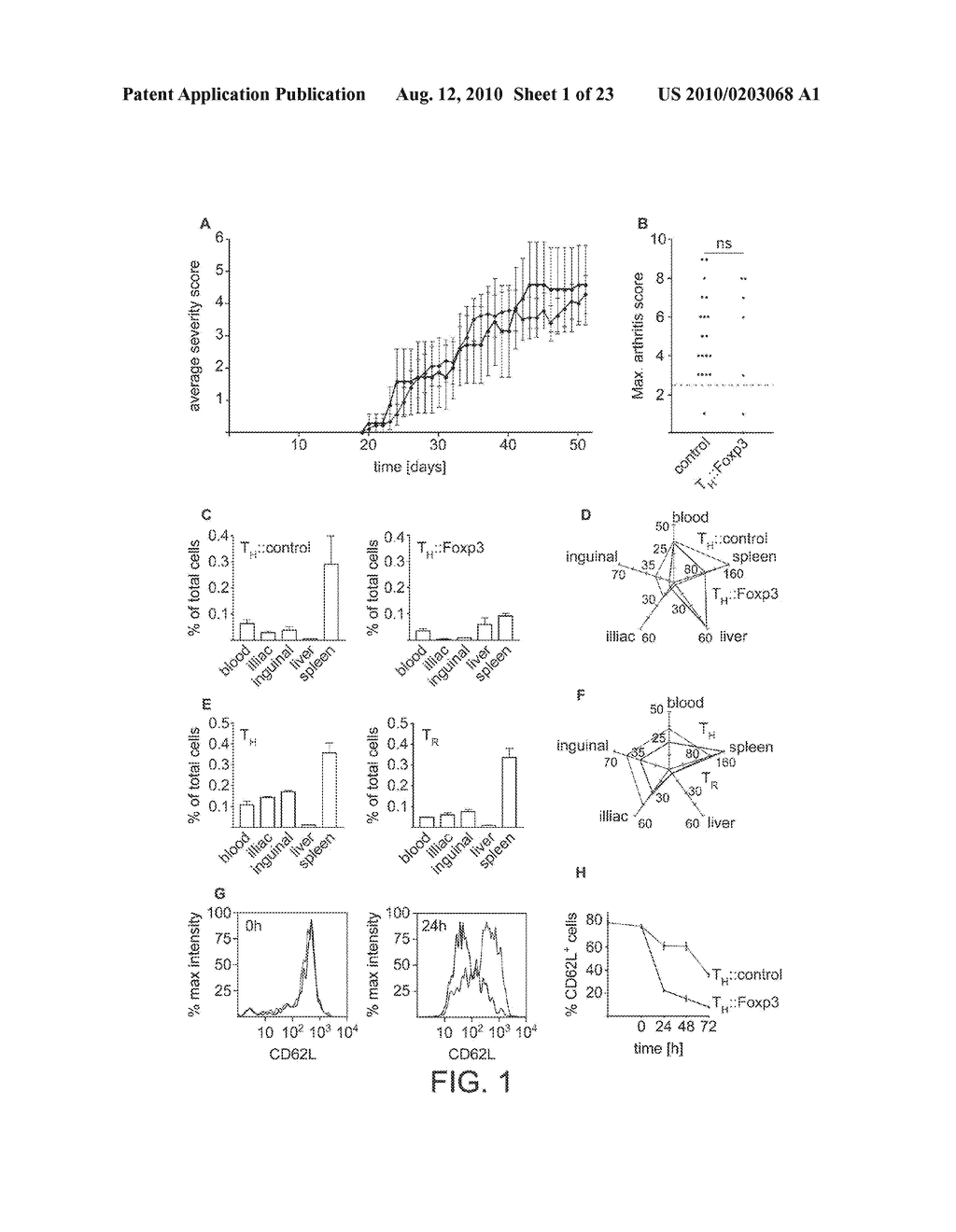 METHODS OF SWITCHING THE PHENOTYPE OF T CELLS BY TRANSGENIC LINEAGE FACTOR FOXP3 - diagram, schematic, and image 02