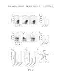 METHODS OF SWITCHING THE PHENOTYPE OF T CELLS BY TRANSGENIC LINEAGE FACTOR FOXP3 diagram and image