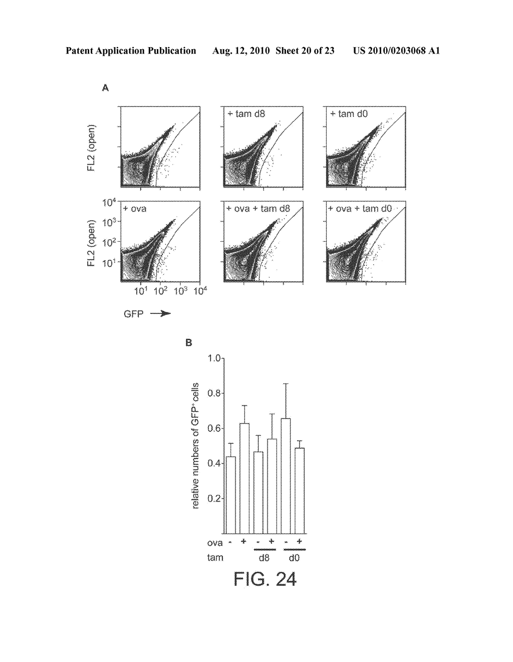 METHODS OF SWITCHING THE PHENOTYPE OF T CELLS BY TRANSGENIC LINEAGE FACTOR FOXP3 - diagram, schematic, and image 21