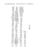 CIRCOVIRUS SEQUENCES ASSOCIATED WITH PIGLET WEIGHT LOSS DISEASE (PWD) diagram and image