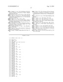 CIRCOVIRUS SEQUENCES ASSOCIATED WITH PIGLET WEIGHT LOSS DISEASE (PWD) diagram and image