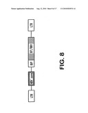 COMPOSITIONS AND METHODS FOR TREATING INTRACELLULAR DISEASES diagram and image