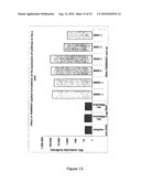 COMPLEXES OF RNA AND CATIONIC PEPTIDES FOR TRANSFECTION AND FOR IMMUNOSTIMULATION diagram and image