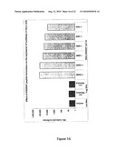 COMPLEXES OF RNA AND CATIONIC PEPTIDES FOR TRANSFECTION AND FOR IMMUNOSTIMULATION diagram and image