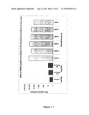 COMPLEXES OF RNA AND CATIONIC PEPTIDES FOR TRANSFECTION AND FOR IMMUNOSTIMULATION diagram and image