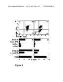 ATTACK OF TUMOR CELLS WITH MISSING, LOW OR ABERRANT MHC EXPRESSION BY COMBINING NON MHC-RESTRICTED T-CELLS/NK-CELLS AND MHC-RESTRICTED CELLS diagram and image