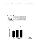 G-SUBSTRATE FOR THE TREATMENT AND PREVENTION OF PARKINSON S DISEASE diagram and image