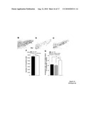 G-SUBSTRATE FOR THE TREATMENT AND PREVENTION OF PARKINSON S DISEASE diagram and image