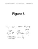 WNT SIGNALLING INHIBITORS, AND METHODS FOR MAKING AND USING THEM diagram and image