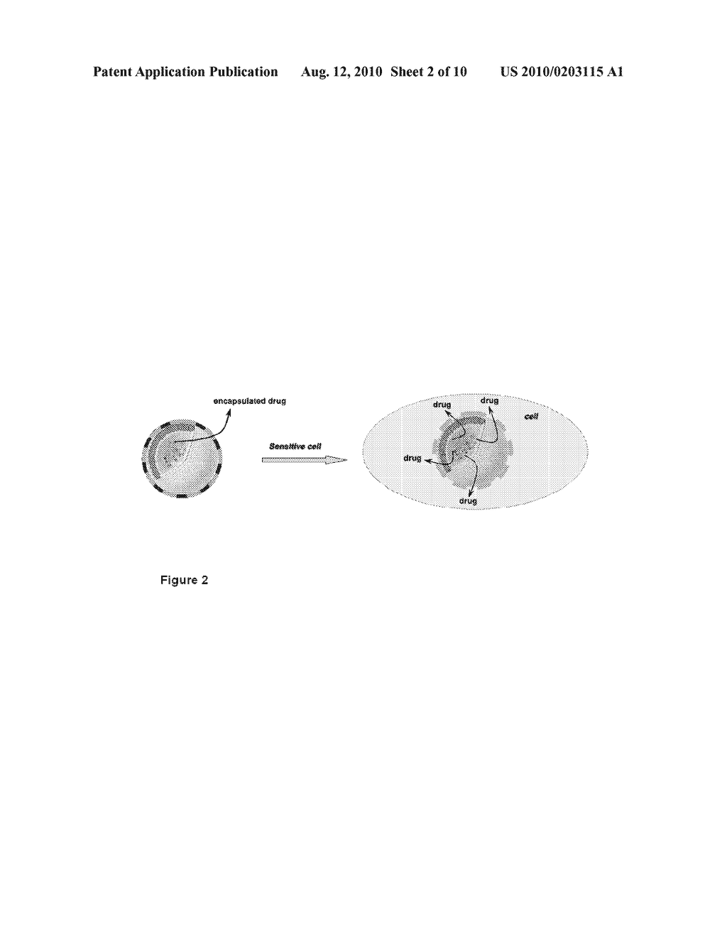 ORGANIC-INORGANIC HYBRID MATERIAL FOR THE STORAGE AND RELEASE OF ACTIVE PRINCIPLES - diagram, schematic, and image 03