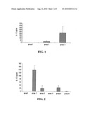 USE OF LIPOSOMES IN A CARRIER COMPRISING A CONTINUOUS HYDROPHOBIC PHASE FOR DELIVERY OF POLYNUCLEOTIDES IN VIVO diagram and image