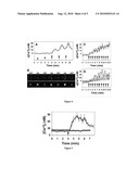 SYSTEMS AND METHODS FOR NANOMAGNETIC ACTUATION OF MOLECULAR CELL SIGNALING diagram and image