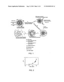 Nanoparticles for Cytoplasmic Drug Delivery to Cancer Cells diagram and image