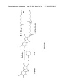 Novel amphiphilic copolymers and fabrication method thereof diagram and image