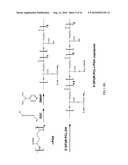Novel amphiphilic copolymers and fabrication method thereof diagram and image