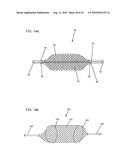 SEGMENTED DELIVERY SYSTEM diagram and image