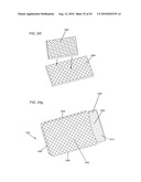 SEGMENTED DELIVERY SYSTEM diagram and image