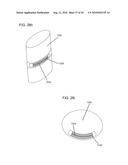 SEGMENTED DELIVERY SYSTEM diagram and image