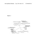 NOVEL LYSOPHOSPHATIDIC ACID ACYLTRANSFERASE GENES diagram and image