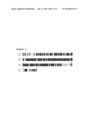 NOVEL LYSOPHOSPHATIDIC ACID ACYLTRANSFERASE GENES diagram and image