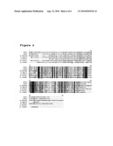 NOVEL LYSOPHOSPHATIDIC ACID ACYLTRANSFERASE GENES diagram and image