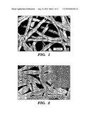 METHOD FOR FORMING INORGANIC COATINGS diagram and image