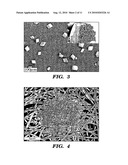 METHOD FOR FORMING INORGANIC COATINGS diagram and image