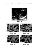 METHOD FOR FORMING INORGANIC COATINGS diagram and image