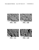 METHOD FOR FORMING INORGANIC COATINGS diagram and image