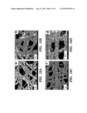 METHOD FOR FORMING INORGANIC COATINGS diagram and image