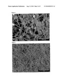 MAGNETIC NANOPARTICLE CELLULOSE MATERIAL diagram and image