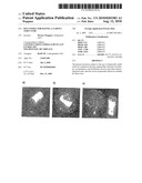 ION CONDUCTOR HAVING A GARNET STRUCTURE diagram and image