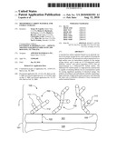 MESOPOROUS CARBON MATERIAL FOR ENERGY STORAGE diagram and image