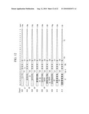 DENTAL FILLING MATERIAL diagram and image