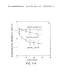 Electrophoretic Interactive Spectral Methods and Devices for the Detection and/or Characterization of Biological Particles diagram and image