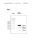 METHOD FOR DETECTION OF HOP LATENT VIRUS, PRIMER SET FOR THE DETECTION, AND KIT FOR THE DETECTION diagram and image