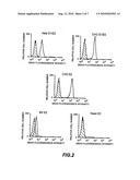 Assay to detect HCV receptor binding diagram and image