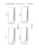 METHODS AND NUCLEIC ACIDS FOR THE ANALYSIS OF GENE EXPRESSION ASSOCIATED WITH THE DEVELOPMENT OF PROSTATE CELL PROLIFERATIVE DISORDERS diagram and image