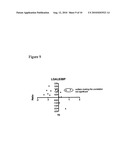 MEANS AND METHODS FOR CLASSIFYING SAMPLES OF MULTIPLE SCLEROSIS PATIENTS diagram and image
