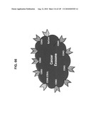 Methods and systems of using exosomes for determining phenotypes diagram and image